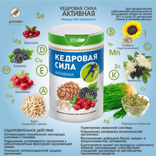 Продукт белково-витаминный Кедровая сила - Активная, 237 гр. Листовка